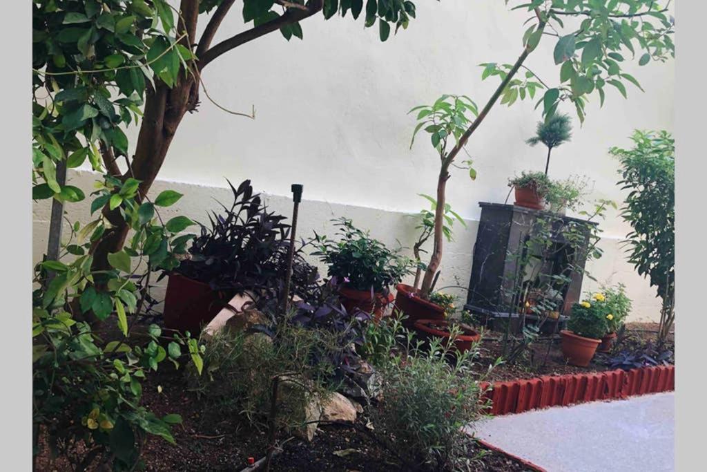 Modern Hospitality, With Private Garden, Athens Lejlighed Eksteriør billede